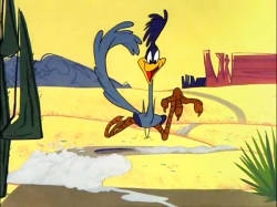 کایوت و رودرانر (فصل 1 - قسمت 10)